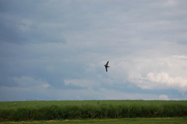 warbirdtreffen-messerschmitt (49).JPG